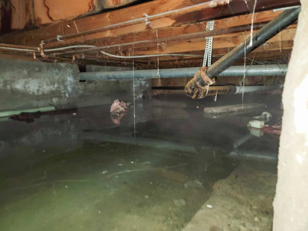 Reliable Lincoln Park, PA Water damage restoration Solutions